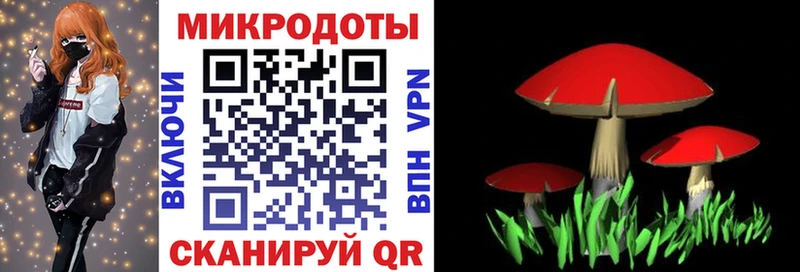 наркота  Тула  Галлюциногенные грибы мицелий 
