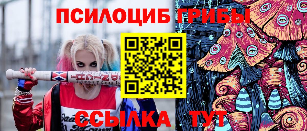 Псилоцибиновые грибы Magic Shrooms  Вход с VPN  Псилоцибиновые грибы Cubensis  Тула 